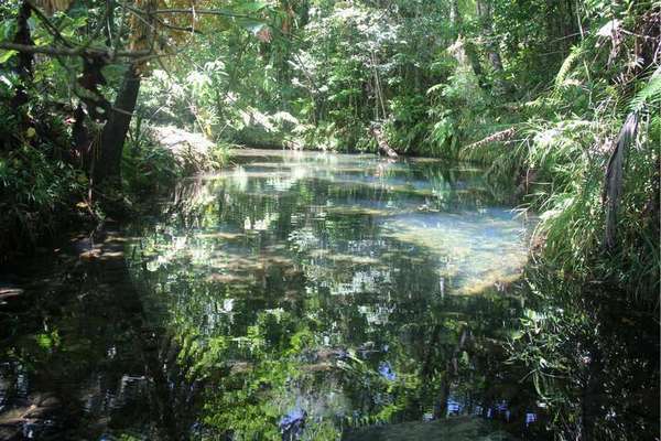 348R- 360R Kruckow Road, Babinda - Thumbnail 2