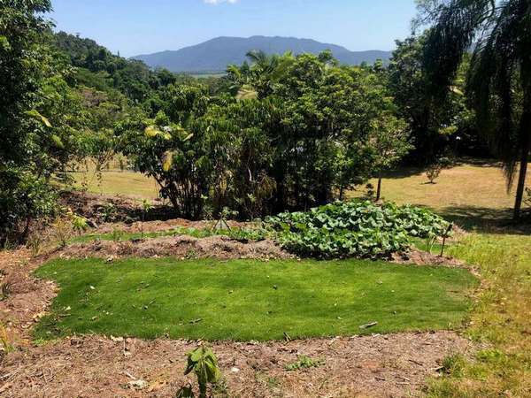 Lot 6 Parry Street, Babinda - Thumbnail 4