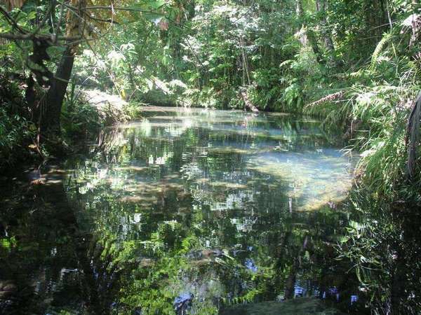 348R-360R Kruckow Road, Babinda - Thumbnail 5