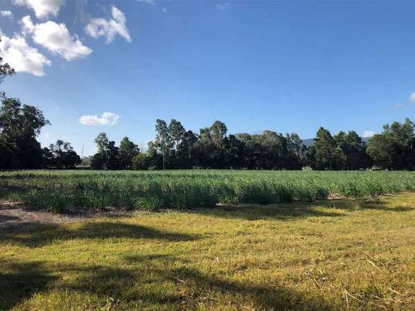 Lot 3 Pine Creek Yarrabah Road, Green Hill - Thumbnail 5
