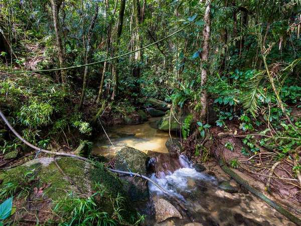 LOT 1 Bruce Highway, Fishery Falls - Thumbnail 3