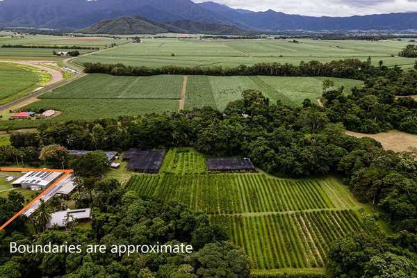 249 Warner Road, Gordonvale - Thumbnail 8