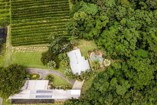 249 Warner Road, Gordonvale - Thumbnail 6