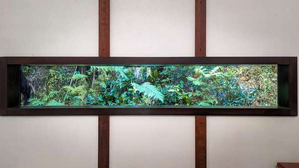 16 Jago Street, Babinda - Thumbnail 5