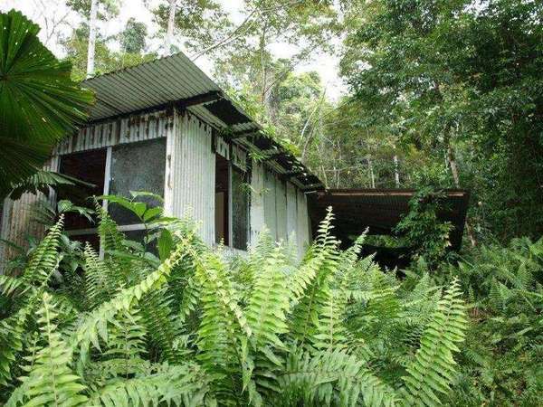COW BAY QLD, 4873, Cow Bay - Thumbnail 4