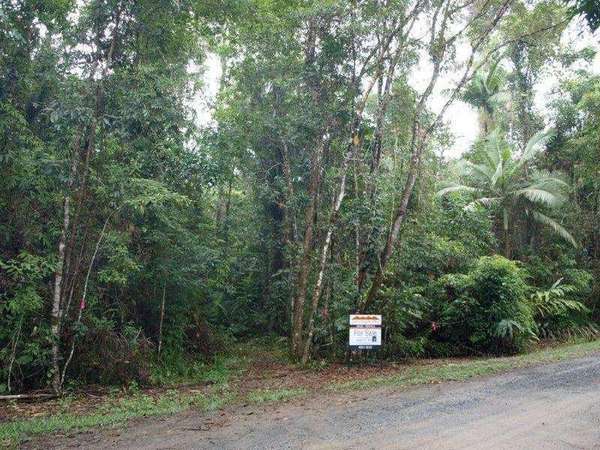 COW BAY QLD, 4873, Cow Bay - Thumbnail 2