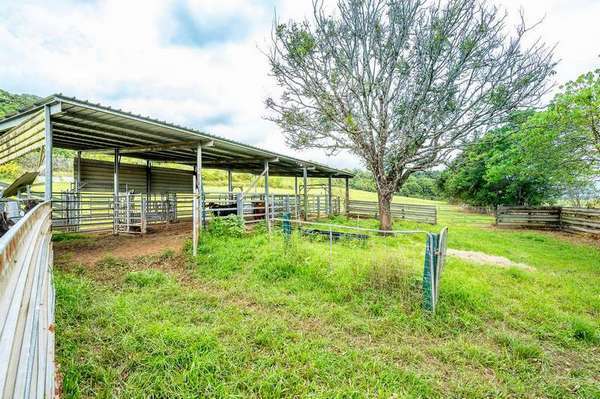 58 Healy Road, Mirriwinni - Thumbnail 7