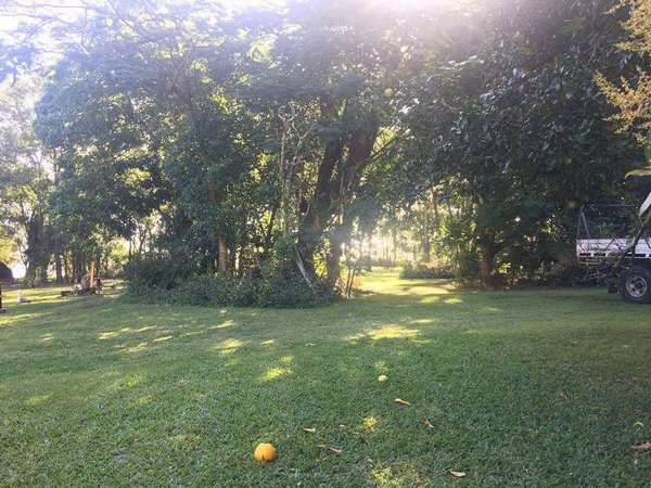 LOT 67 Pine Creek Yarrabah Road, East Trinity - Thumbnail 6
