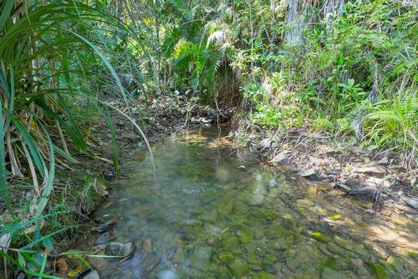 Lot 2 and Lot 3 Buttigieg Access, Babinda - Thumbnail 2