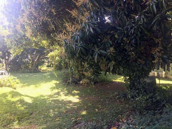 LOT 67 Pine Creek Yarrabah Road, East Trinity - Thumbnail 4