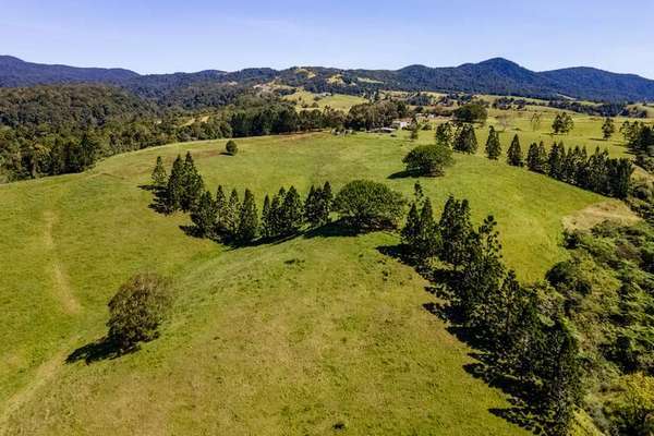 37-39 East Evelyn Road, Millaa Millaa - Thumbnail 5