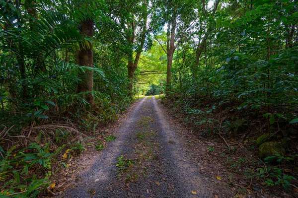 31-33 McMahon Drive, Fishery Falls - Thumbnail 5