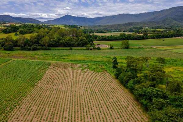 Lot 61 Gillies Range Road, Little Mulgrave - Thumbnail 4