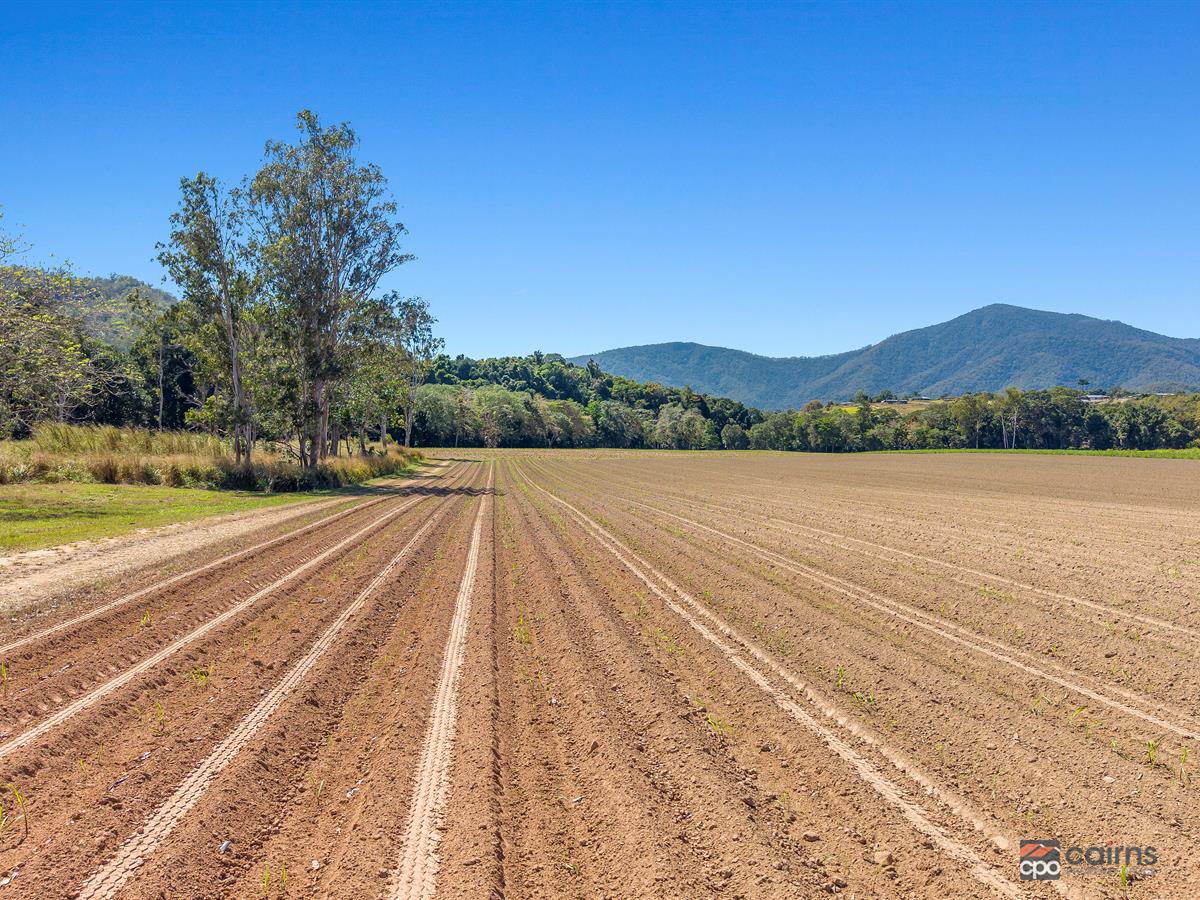 Lot 1 And 2 Roos Road, Little Mulgrave For Sale by Farmbuy.com - image 6