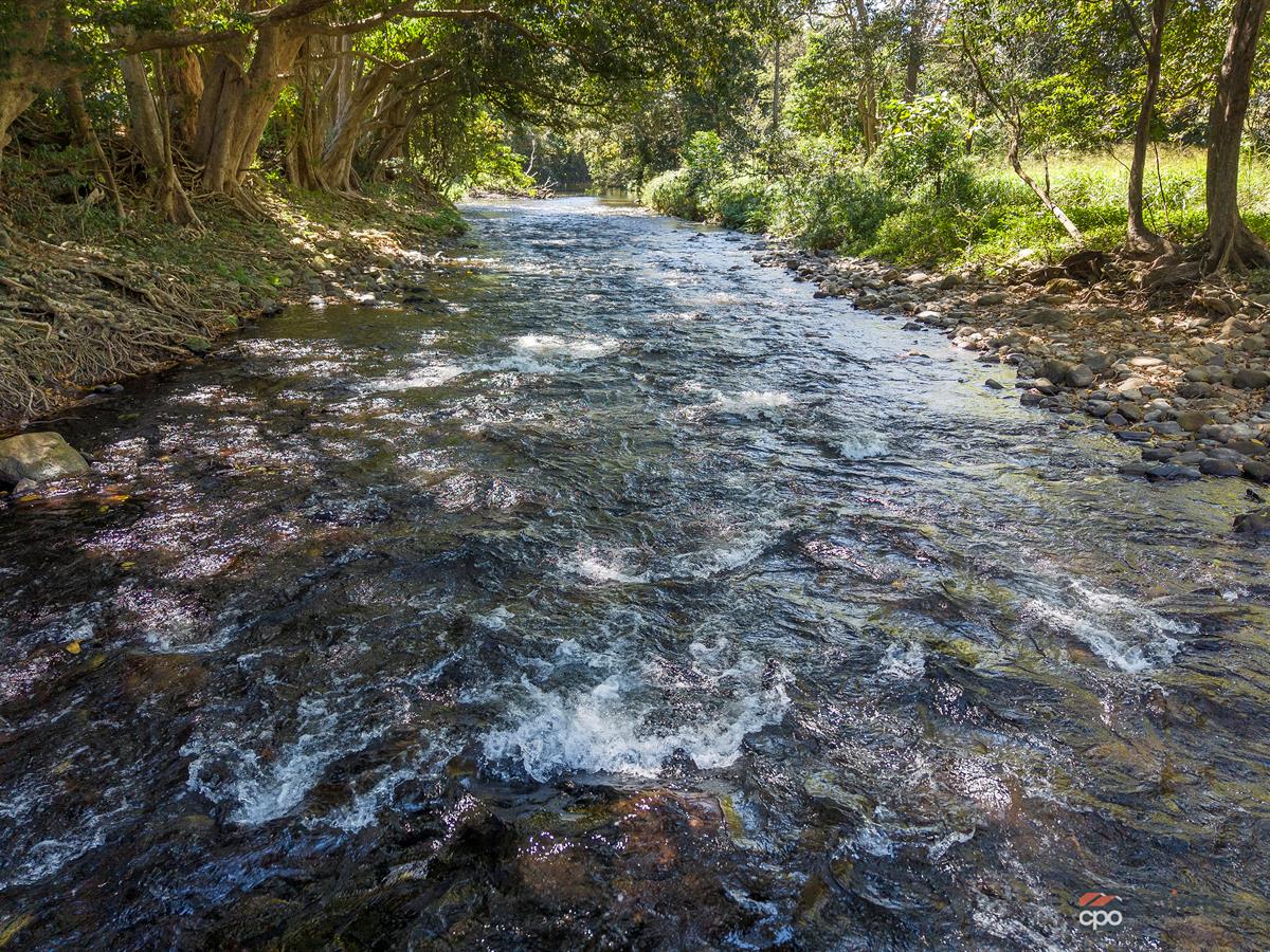 Lot 1 And 2 Roos Road, Little Mulgrave For Sale by Farmbuy.com - image 4