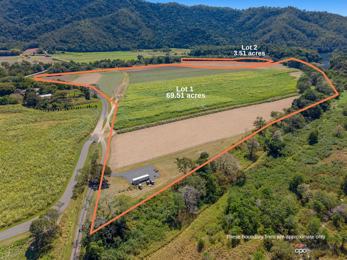 Farm For Sale - QLD - Little Mulgrave - 4865 - 73 Acre Fertile Farm with Two Titles & 300-Megalitre Water Licence 