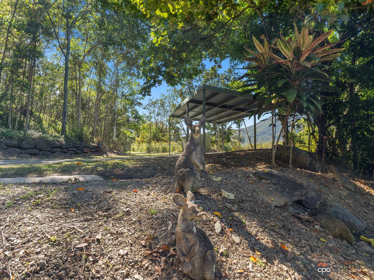 66-68 Vico Street, Gordonvale For Sale by Farmbuy.com - image 26