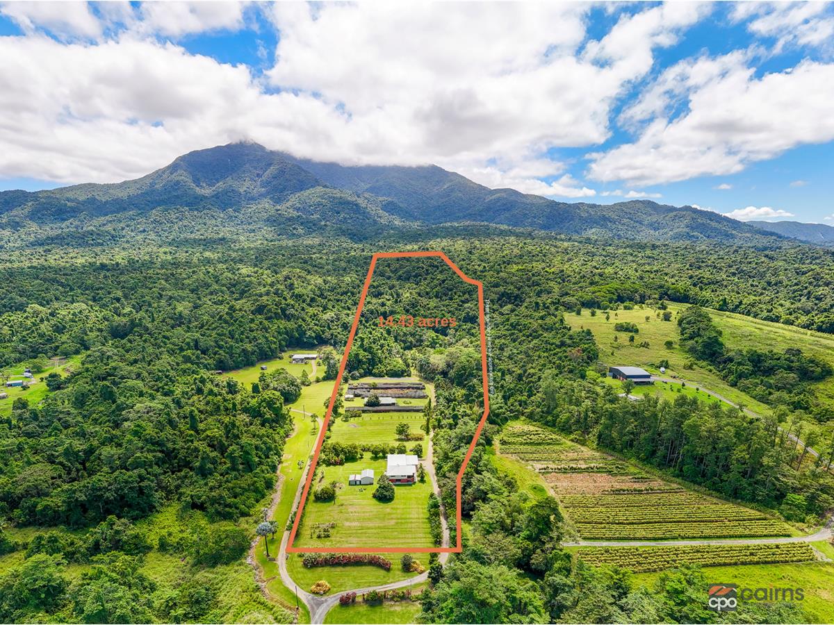 Farm For Sale - QLD - Mirriwinni - 4871 - Paradise Found - 14.5 Acres, Fertile Land and Permanent Creek