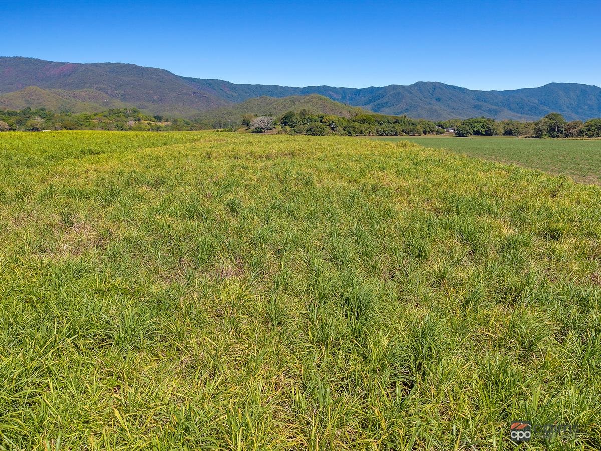 Lot 1 And 2 Roos Road, Little Mulgrave For Sale by Farmbuy.com - image 7