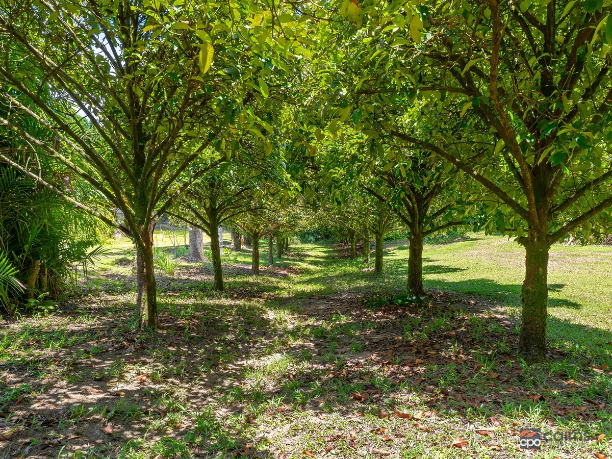 176 Healy Road, Mirriwinni For Sale by Farmbuy.com - image 35