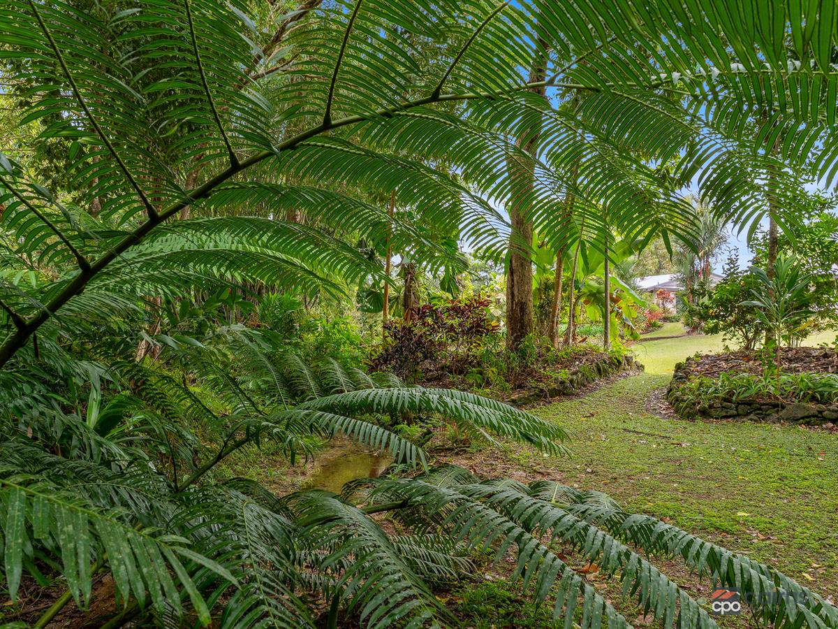 16 Nelson Road, Babinda For Sale by Farmbuy.com - image 26