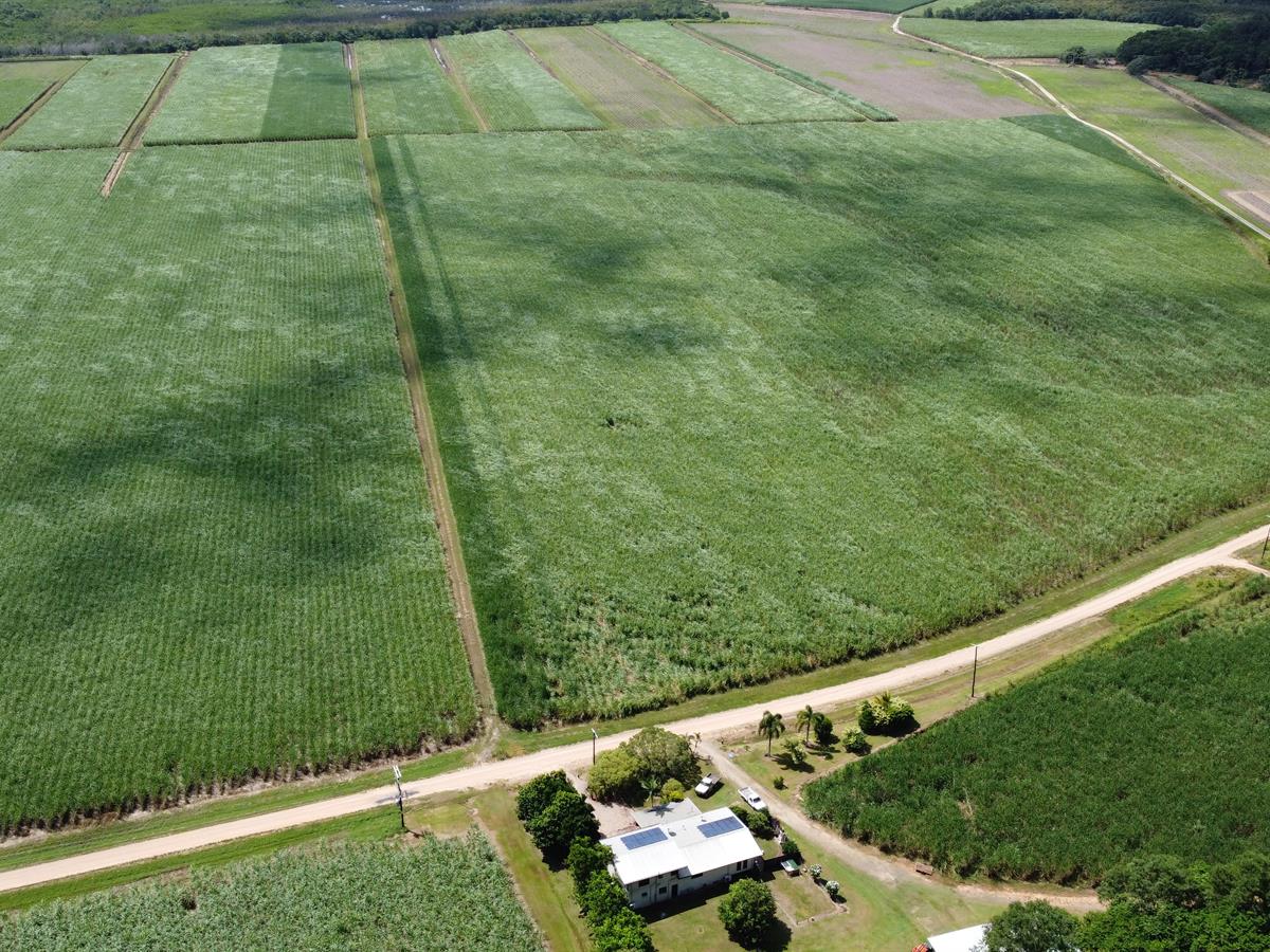 Campbell Real Estate