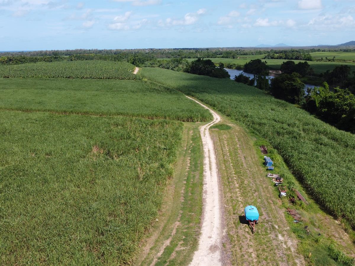 Campbell Real Estate