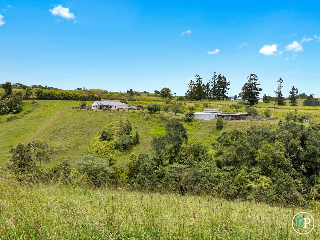 4555 Palmerston Highway, Mungalli - Thumbnail 5