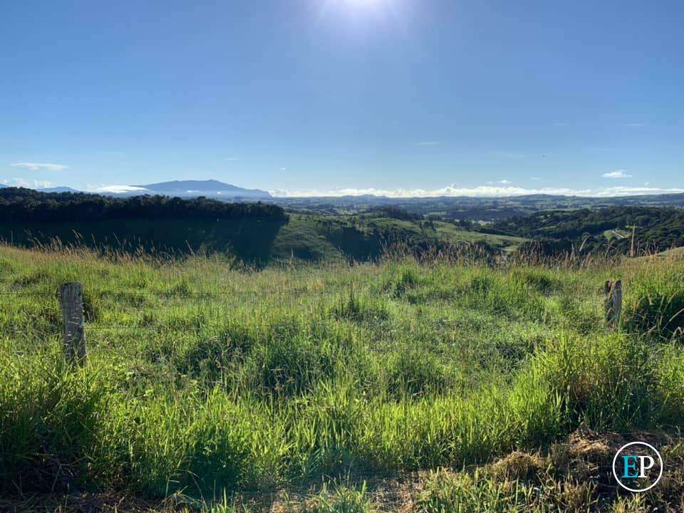 TARZALI QLD, 4885, Tarzali - Thumbnail 2