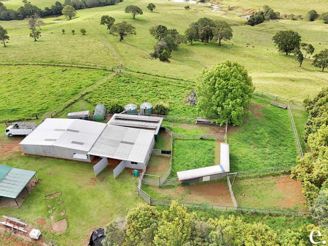 41 Ford Road, Tarzali - Thumbnail 4