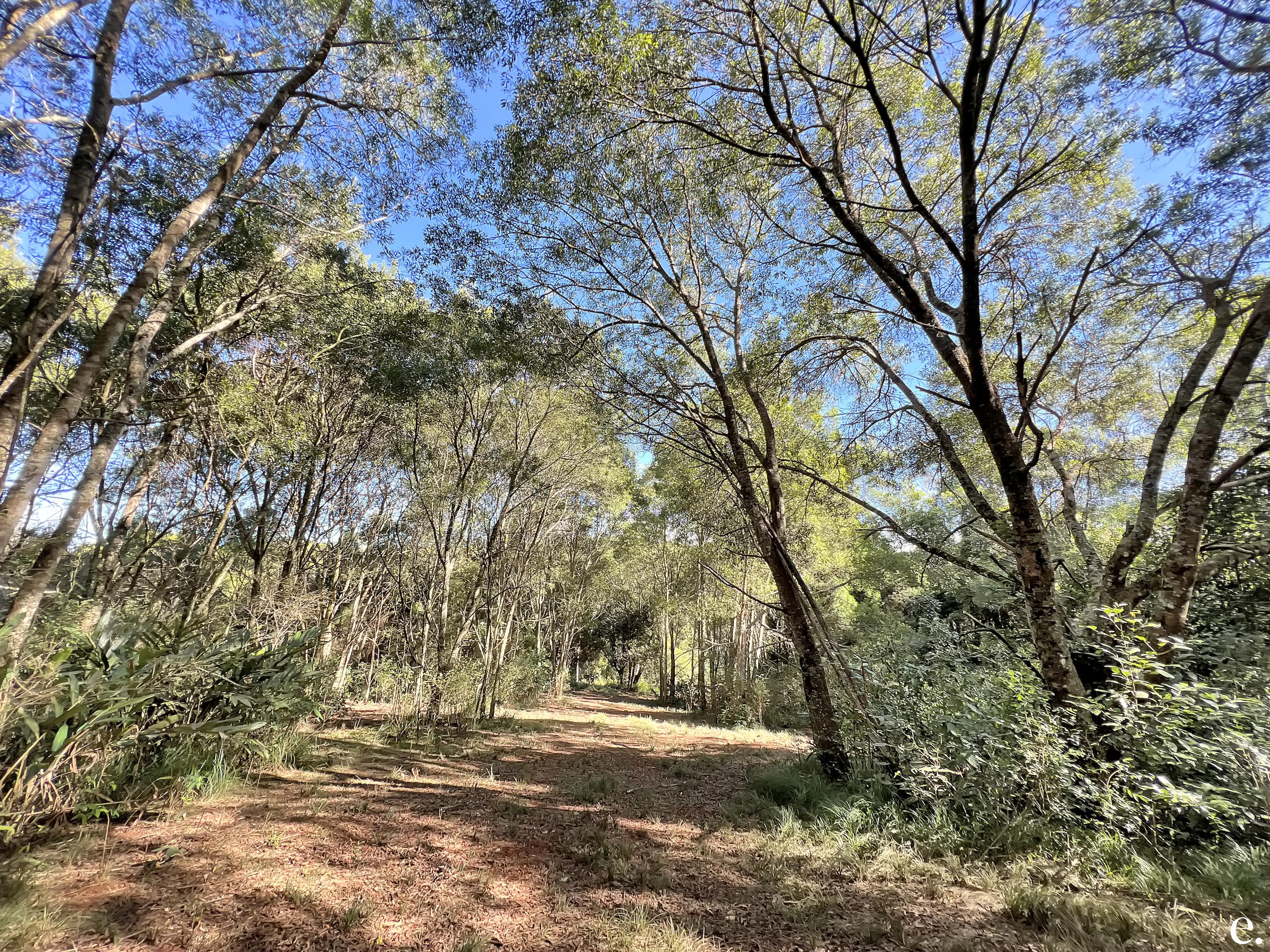 29 Charles Keough Road, Evelyn - Thumbnail 8