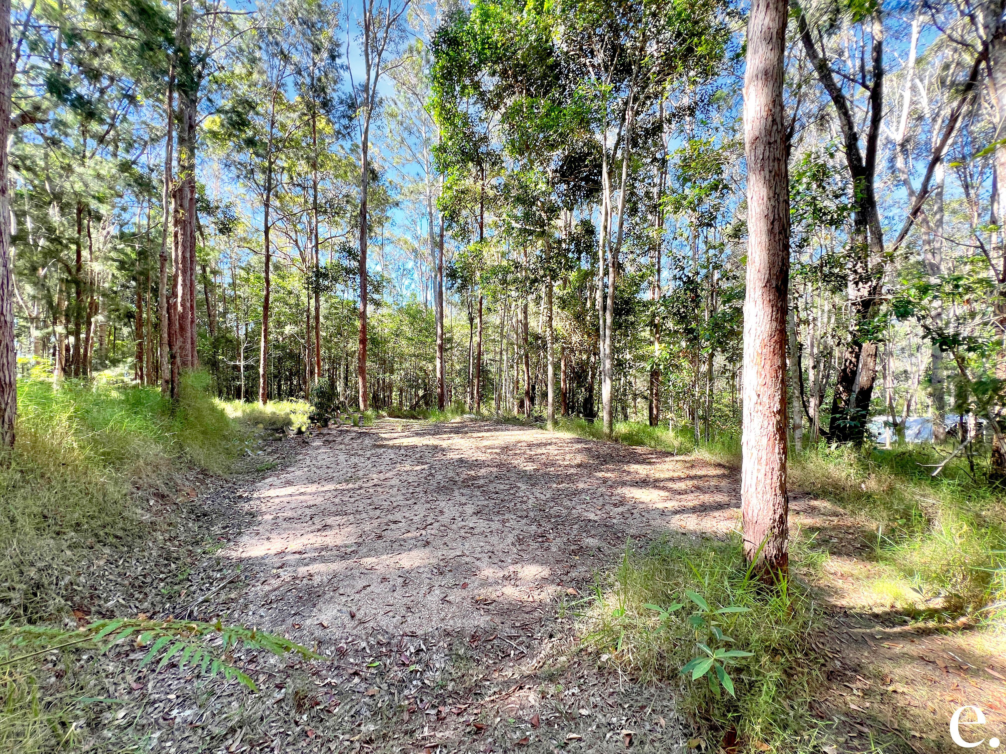 255 Lloyd Road, Barrine - Thumbnail 2