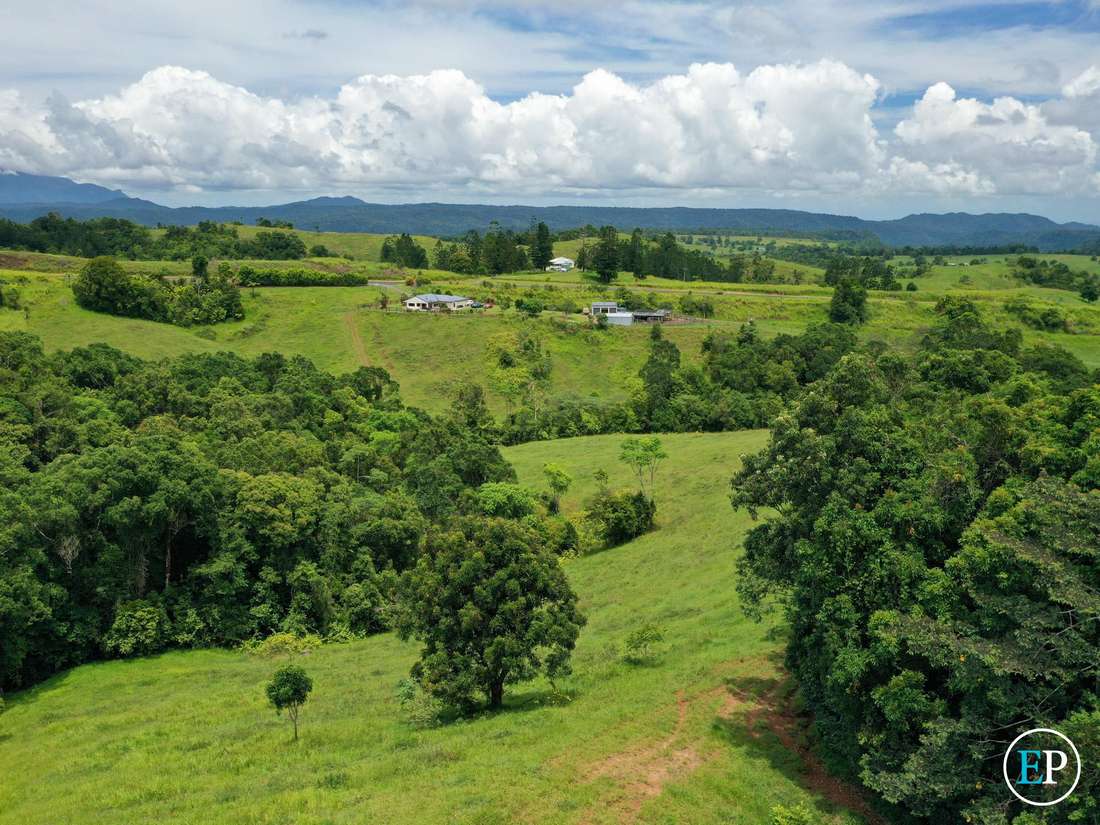 4555 Palmerston Highway, Mungalli - Thumbnail 6