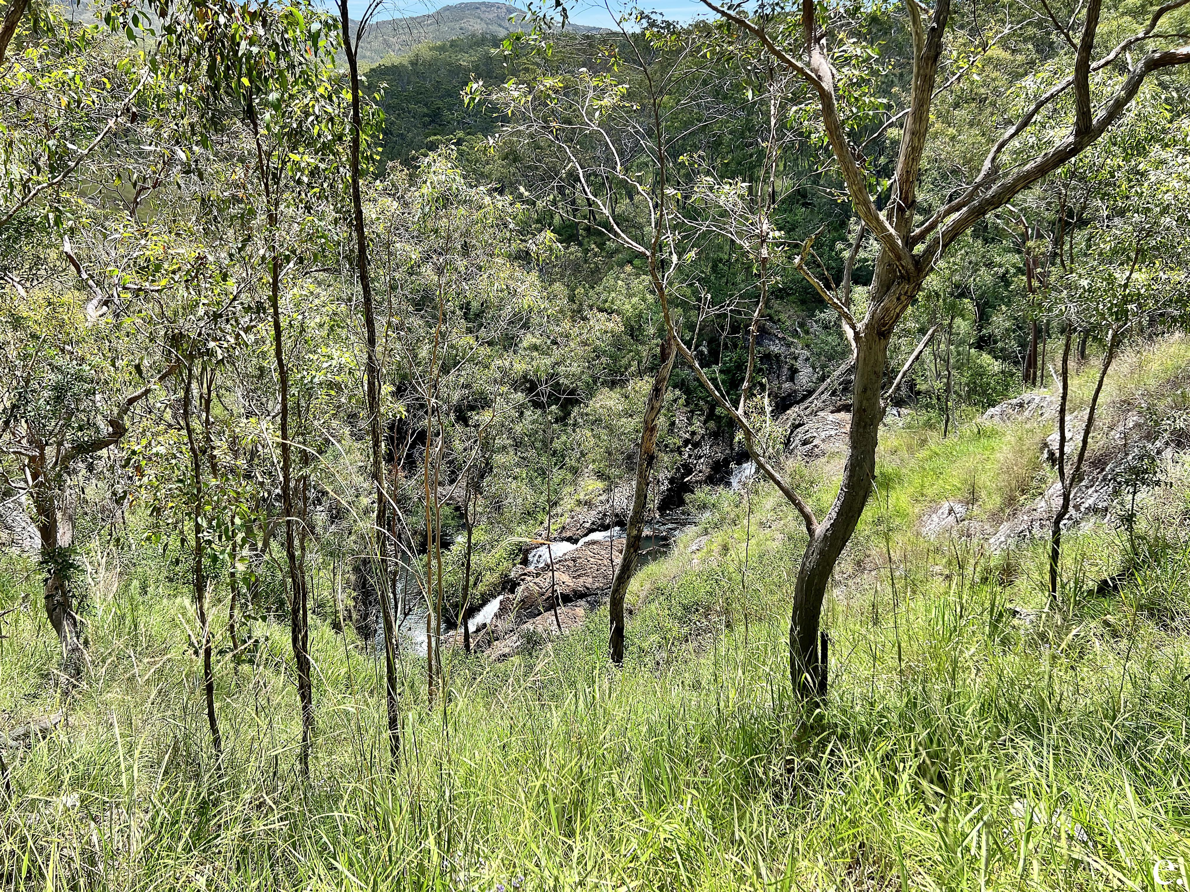 131 Jonsson Road, Kaban - Thumbnail 7