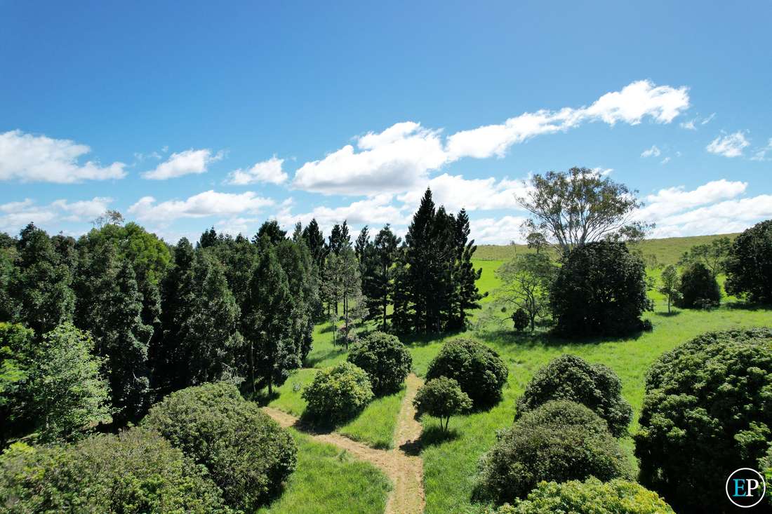 MALANDA QLD, 4885, Malanda - Thumbnail 3