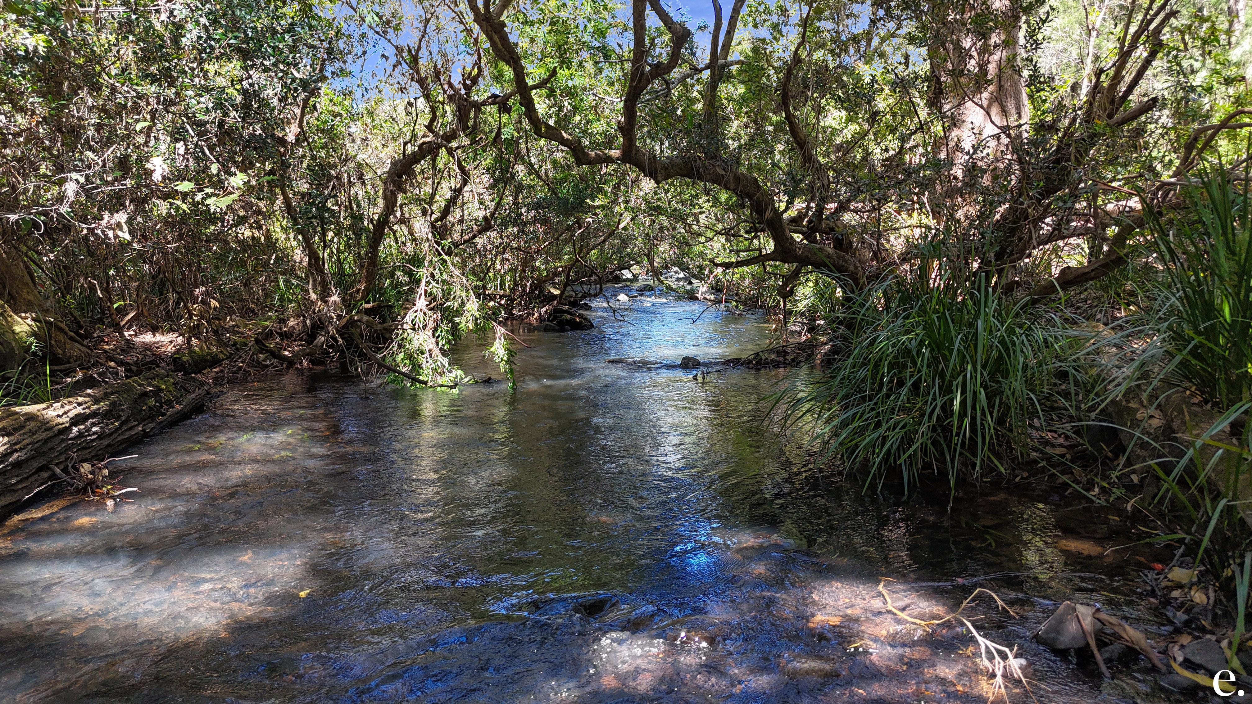 4 Coleman Road, Ravenshoe - Thumbnail 3
