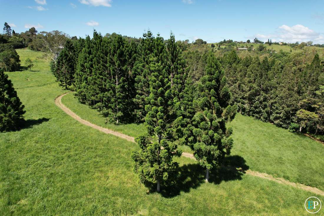 MALANDA QLD, 4885, Malanda - Thumbnail 5