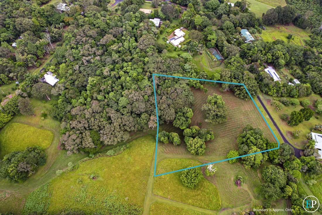 32/32 Mclean Ridge, Lake Barrine - Thumbnail 3