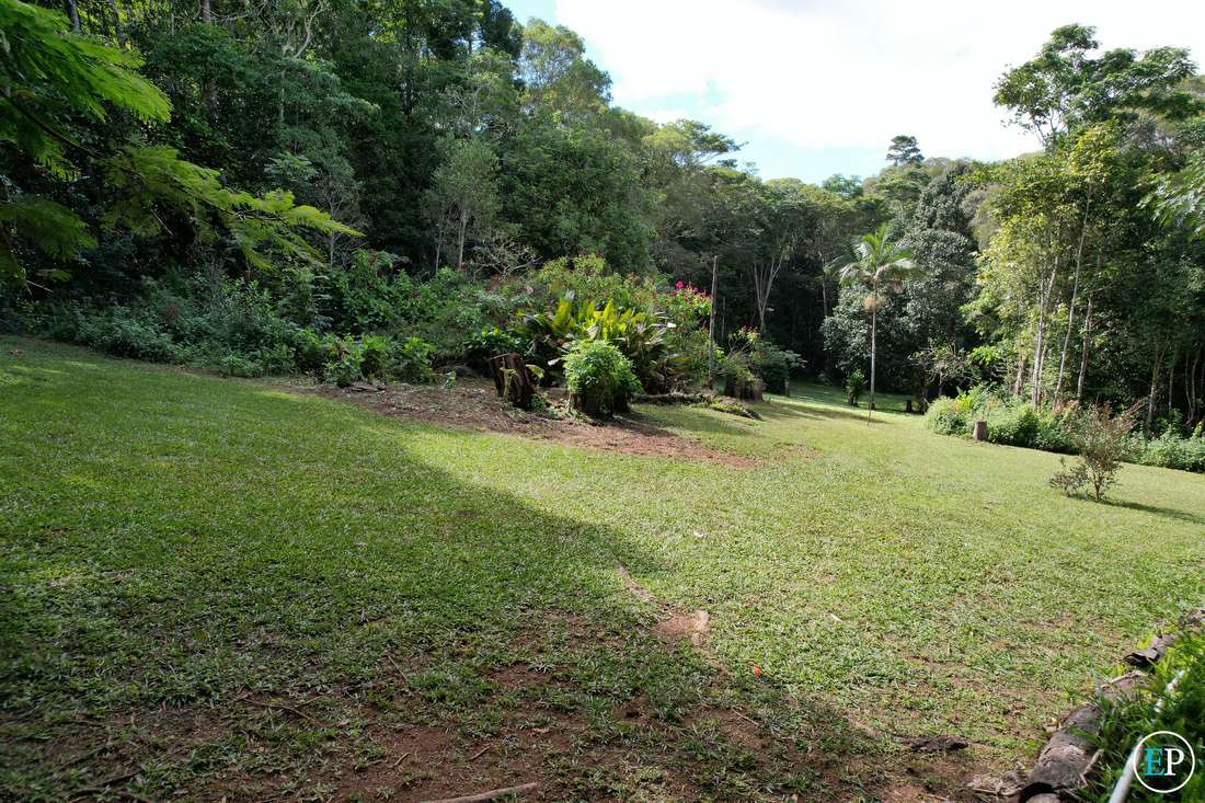 Lakes Drive, Lake Eacham - Thumbnail 7