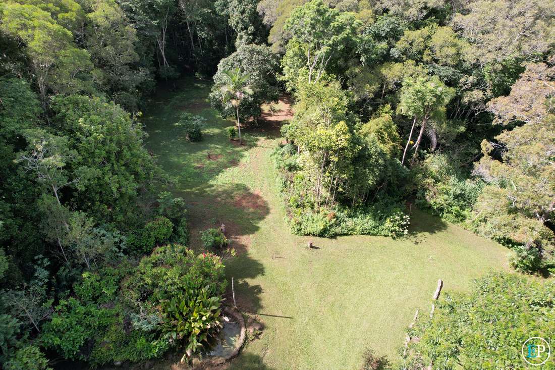 Lakes Drive, Lake Eacham - Thumbnail 5