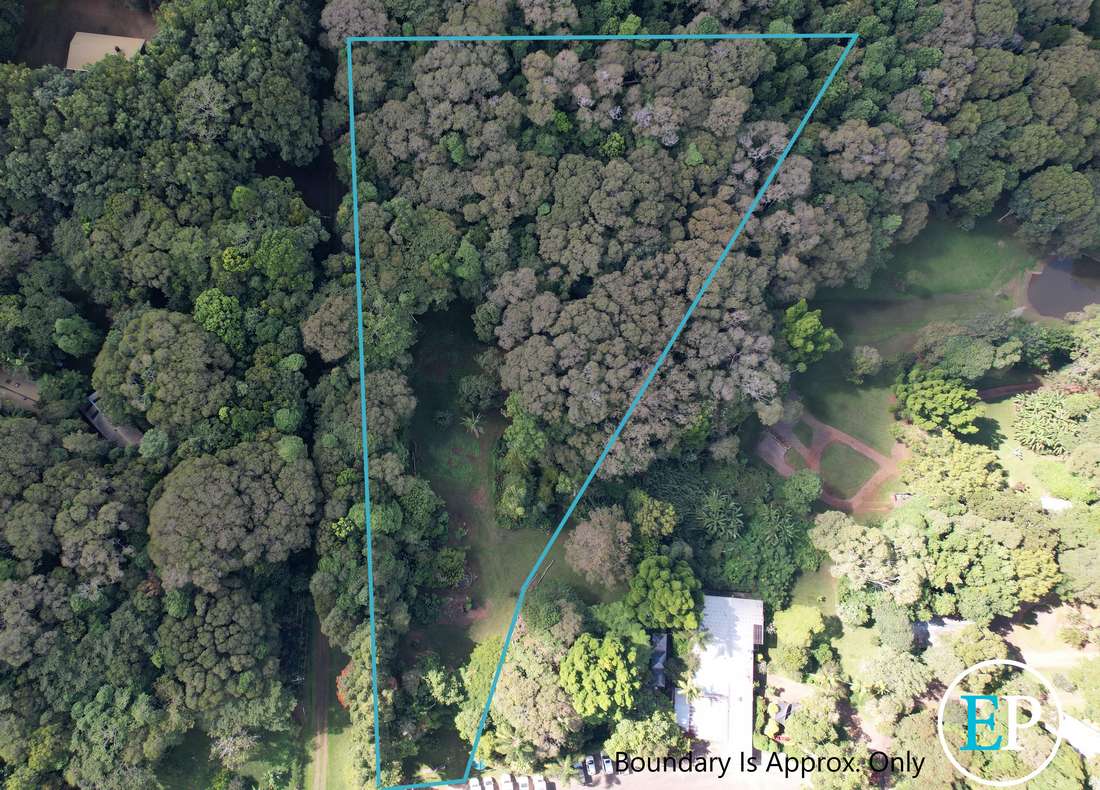 Lakes Drive, Lake Eacham - Thumbnail 3