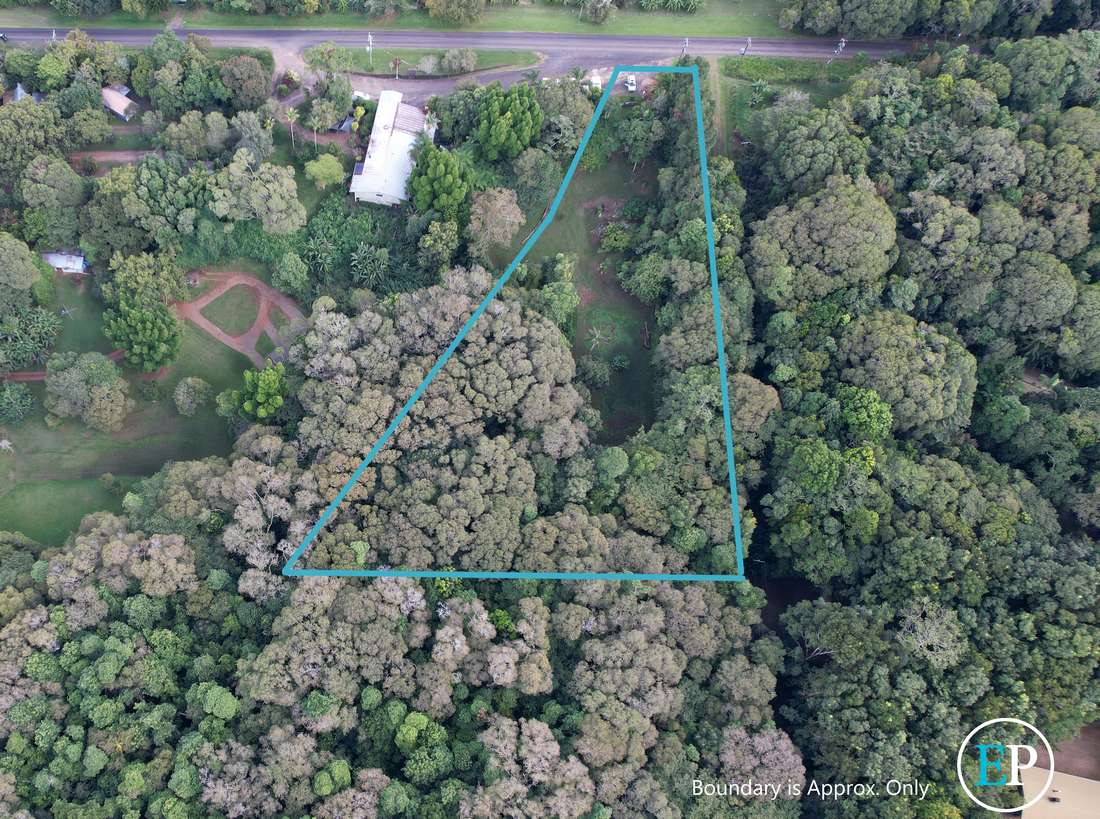 Lakes Drive, Lake Eacham - Thumbnail 2