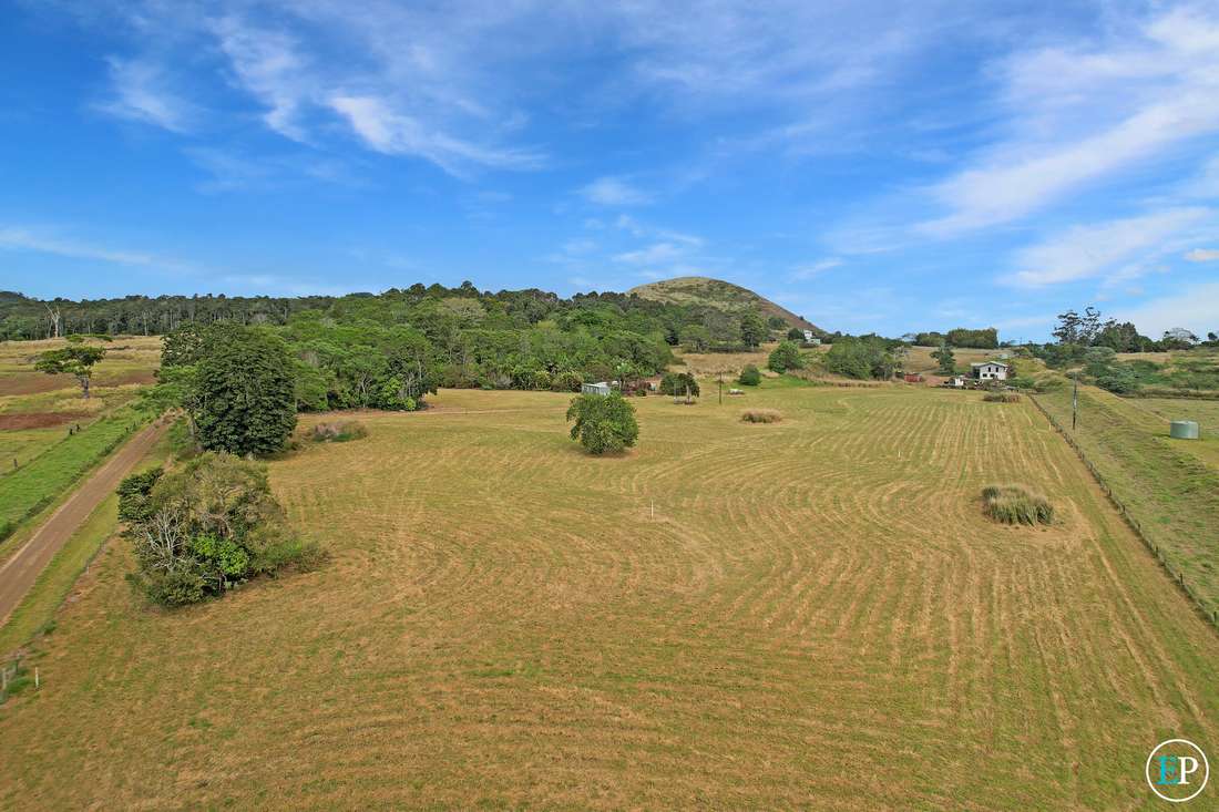 65 Davis Road, Yungaburra - Thumbnail 5