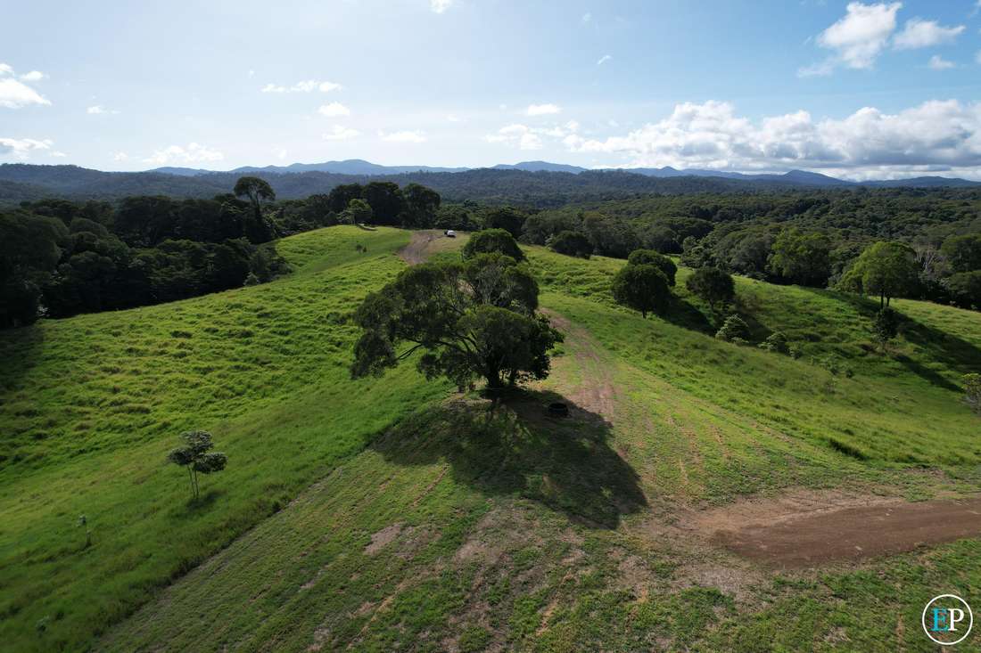 21 Winters Road, Yungaburra - Thumbnail 4