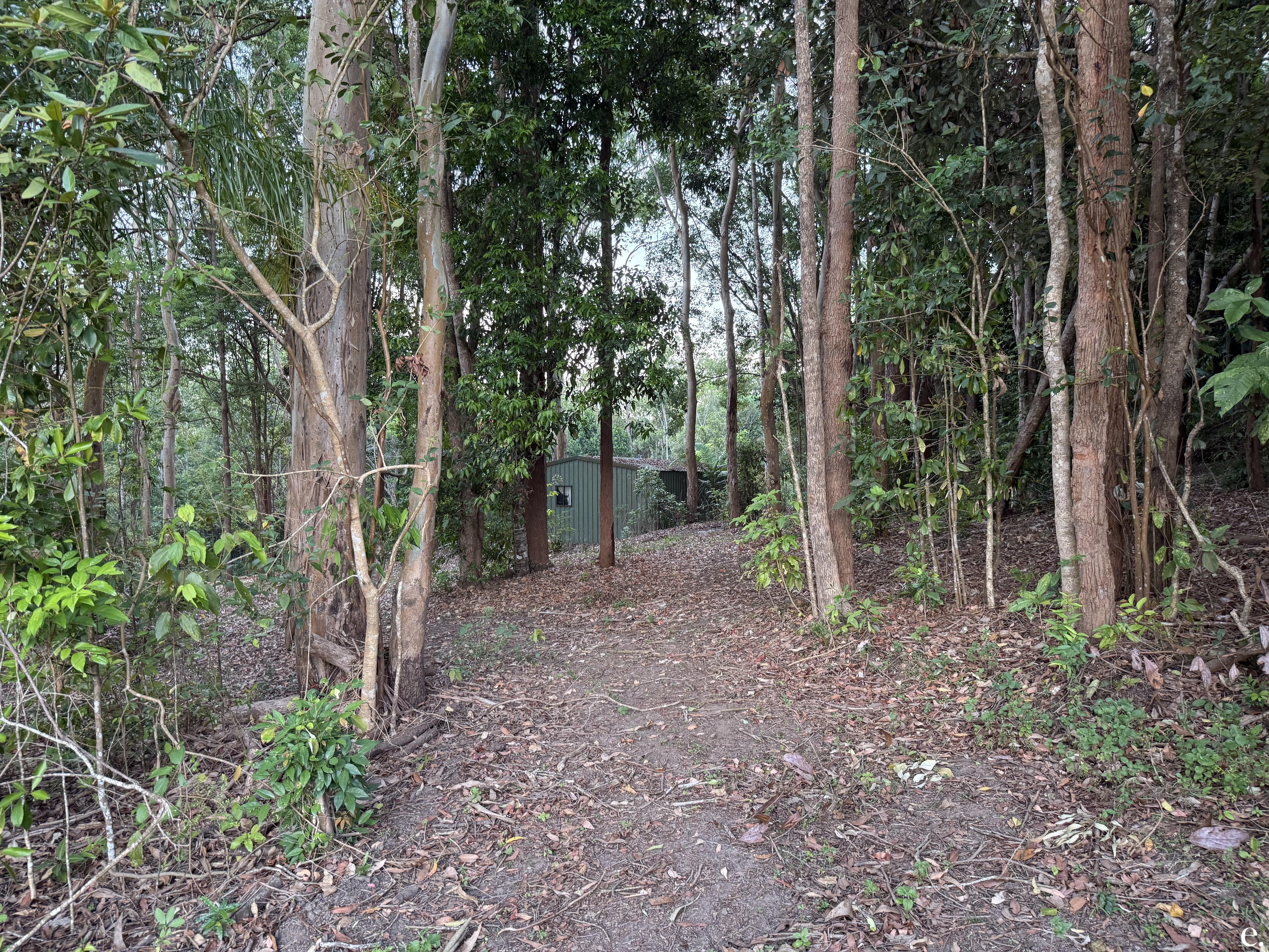 3 Penda Street, Yungaburra - Thumbnail 5