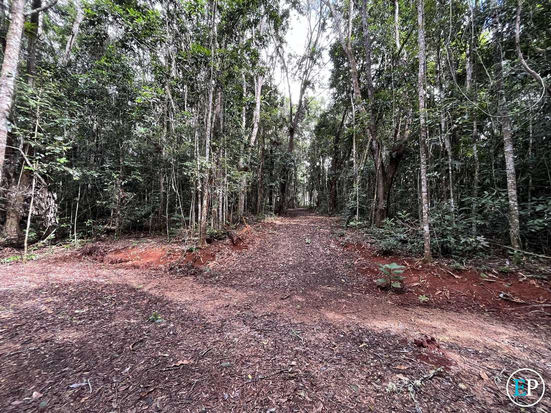 190 Winfield Road, Lake Eacham - Thumbnail 8