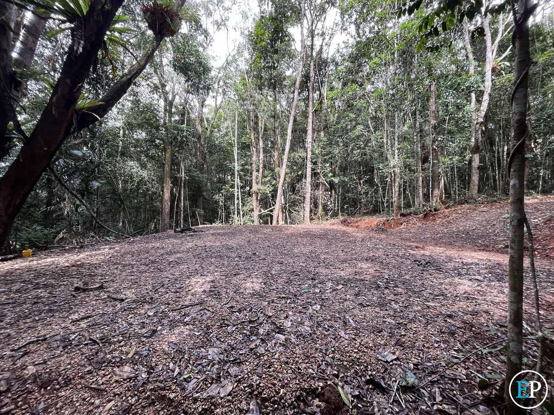 190 Winfield Road, Lake Eacham - Thumbnail 7