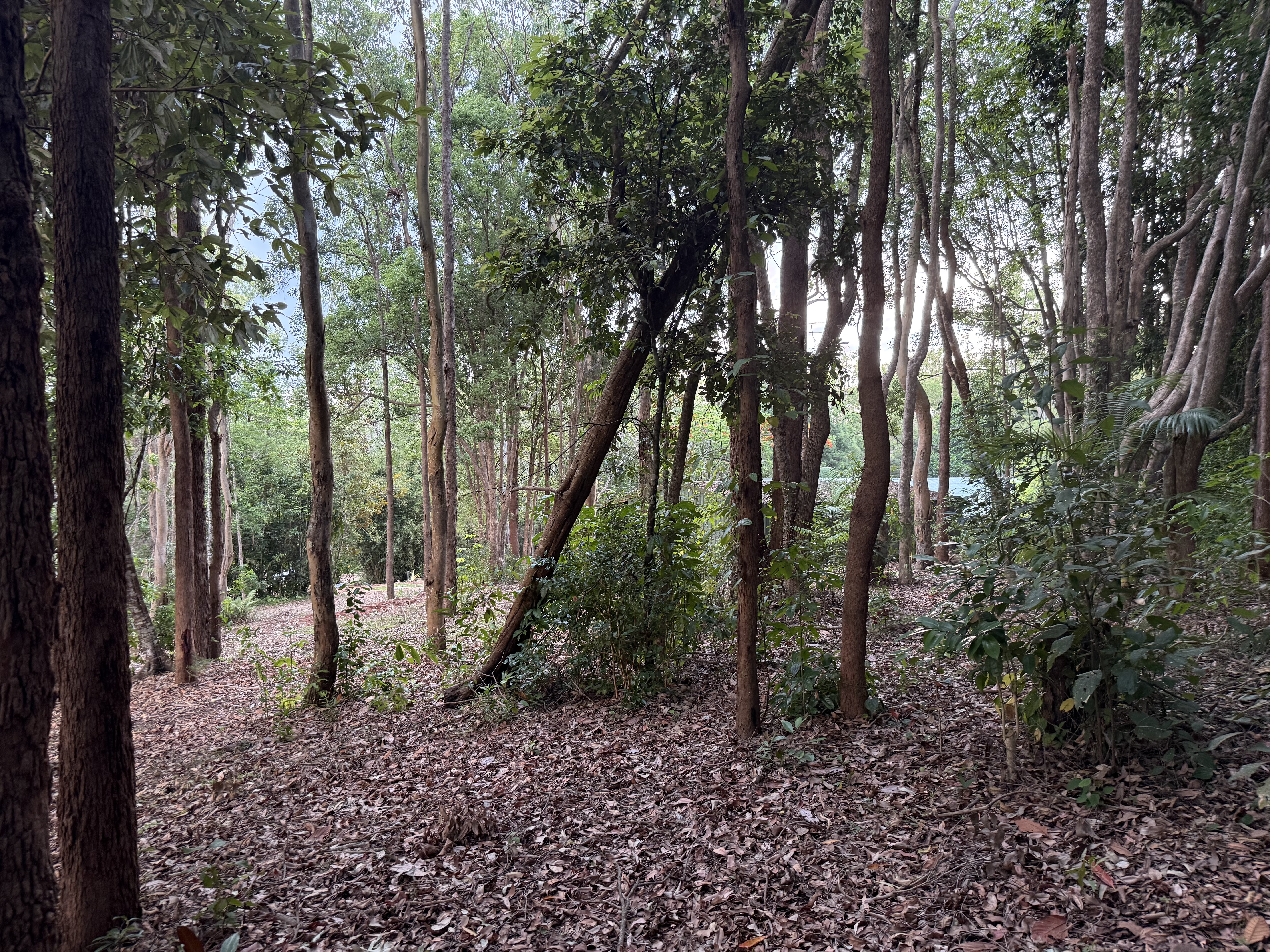 3/3 Penda Street, Yungaburra - Thumbnail 8
