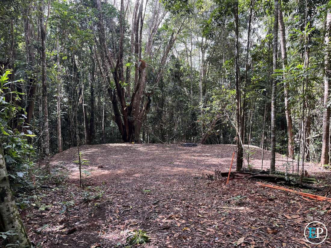 190 Winfield Road, Lake Eacham - Thumbnail 3