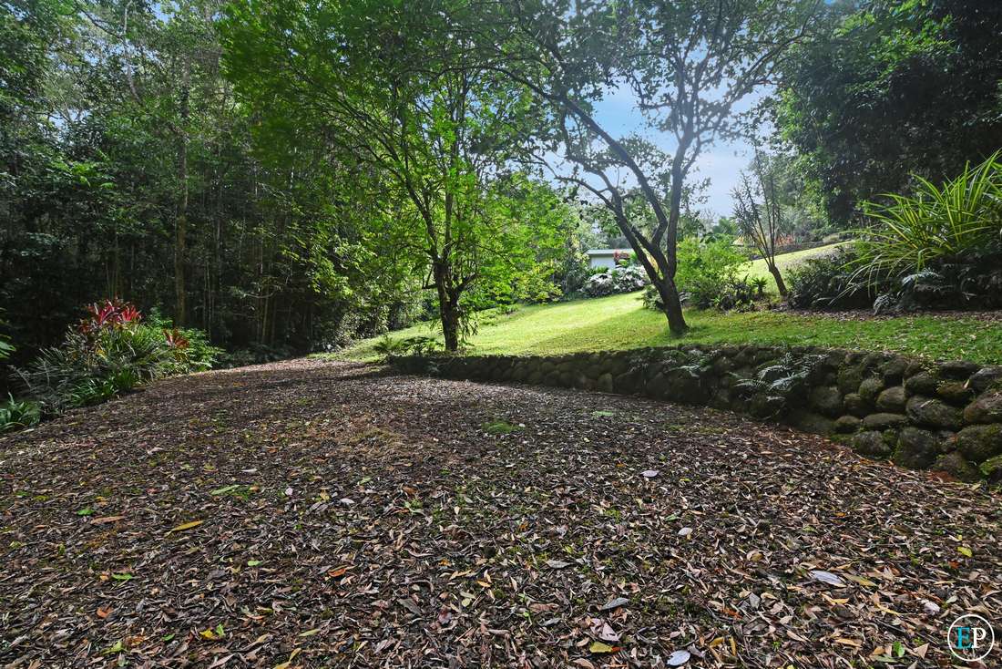 219 Lakes Drive, Lake Eacham - Thumbnail 3